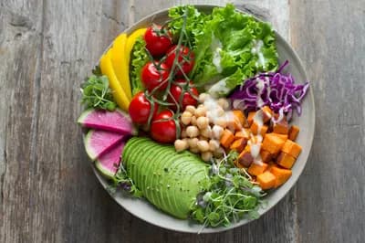 Green Plate website template preview